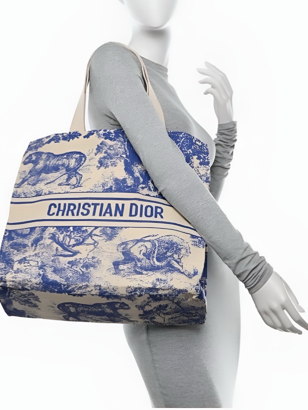 NEW Christian Dior Blue Toile De Jouy Print Tote - Picture 2 of 5